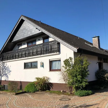 Appartamento Nickel Haus Edenkoben Esterno foto