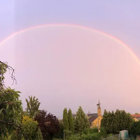 Appartamento Nickel Haus Edenkoben Esterno foto