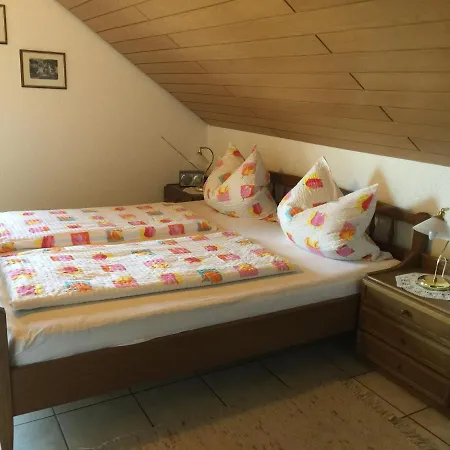 Appartamento Nickel Haus Edenkoben Esterno foto